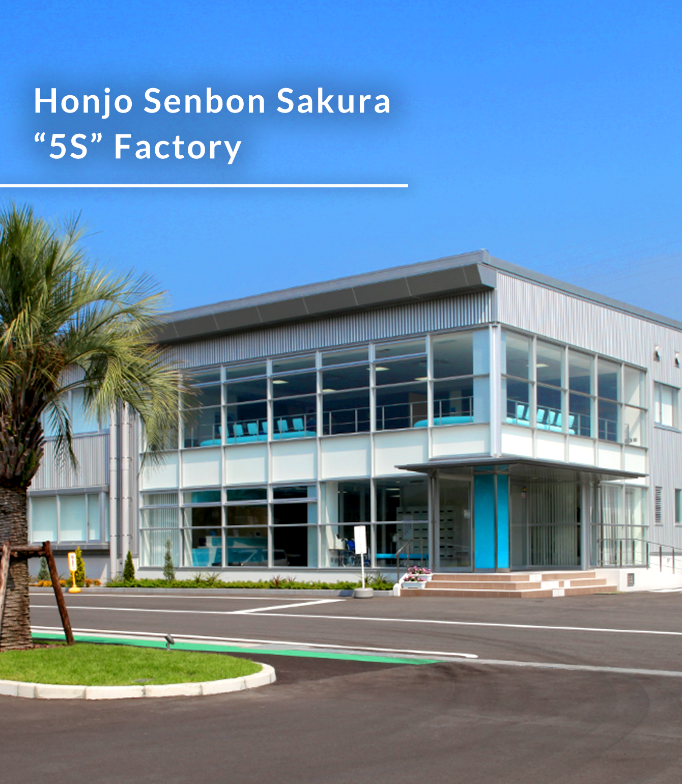 Honjo Senbon Sakura “5S” Factory